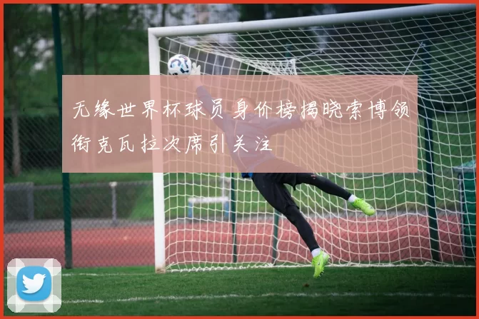 无缘世界杯球员身价榜揭晓索博领衔克瓦拉次席引关注